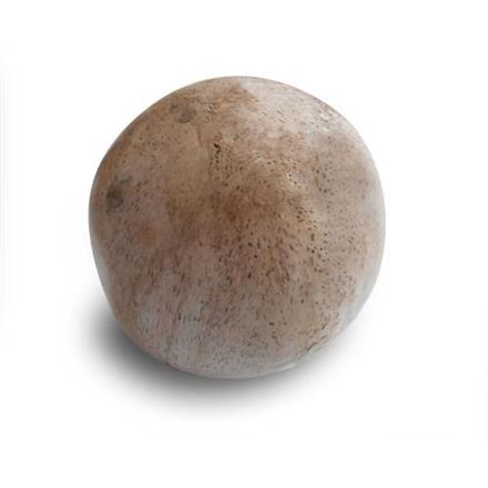 Balishine: Your natural source of indonesian handicraft presents in its Home Decor collection the Petrified Wood Ball:12DF38493:This ball is made from petrified wood.  