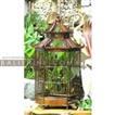 balishine This bird cage is a handicraft of Indonesia made from wood.