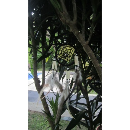 Balishine: Your natural source of indonesian handicraft presents in its Home Decor collection the Dream Catcher:17APA466536:This dream catcher is a handicraft of Bali made from string and feather with shell.  Colors available are blue, fuchsia, green, purpple, black, orange or white.