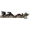 balishine This dragon carving is a handicraft of Bali made from albesia wood.