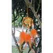 balishine This dream catcher is a handicraft of Bali made from string and feather with shell.