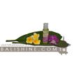 balishine This natural massage oil 100 ml is produced in Bali made from tropical pulp flower in an original handmade glass bottle.