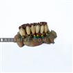 balishine This bracelet maracas is a handicraft of Bali made from natural skin of fruits and fabric.